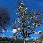 Steinberg Апартаменты Шладминг