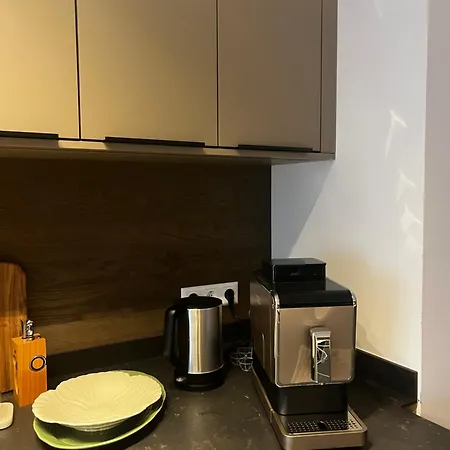 Steinberg Apartment *