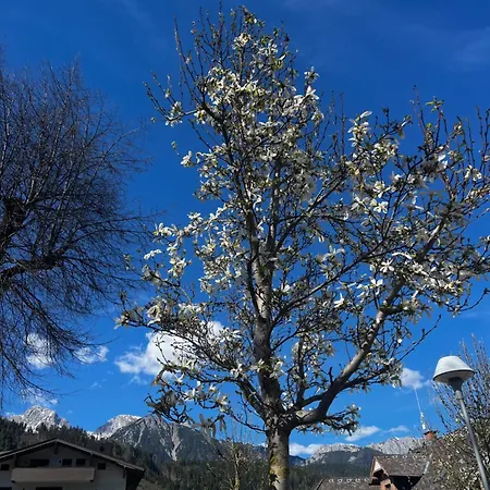 Steinberg Apartment Schladming