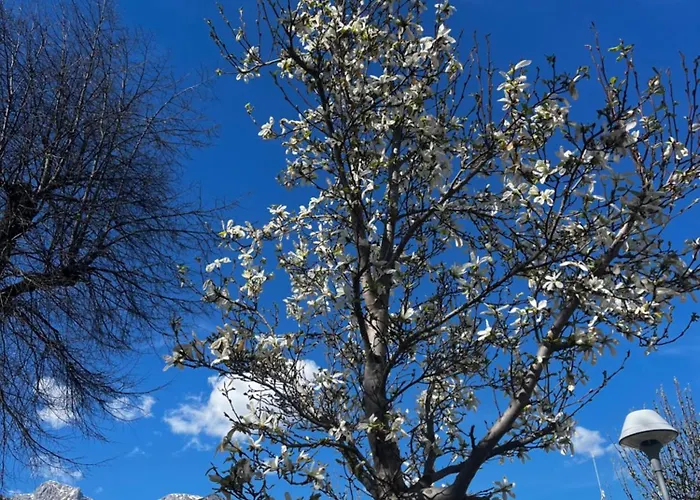 Steinberg Apartmán Schladming